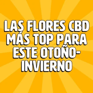 las flores cbd mas top para este otoo invierno 1