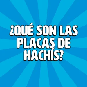 que son las placas de hachis 1