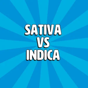 sativa vs indica 1