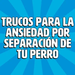 trucos para la ansiedad por separacion de tu perro