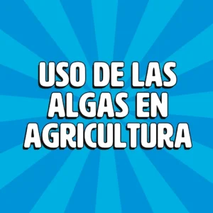 uso de algas en agricultura 1